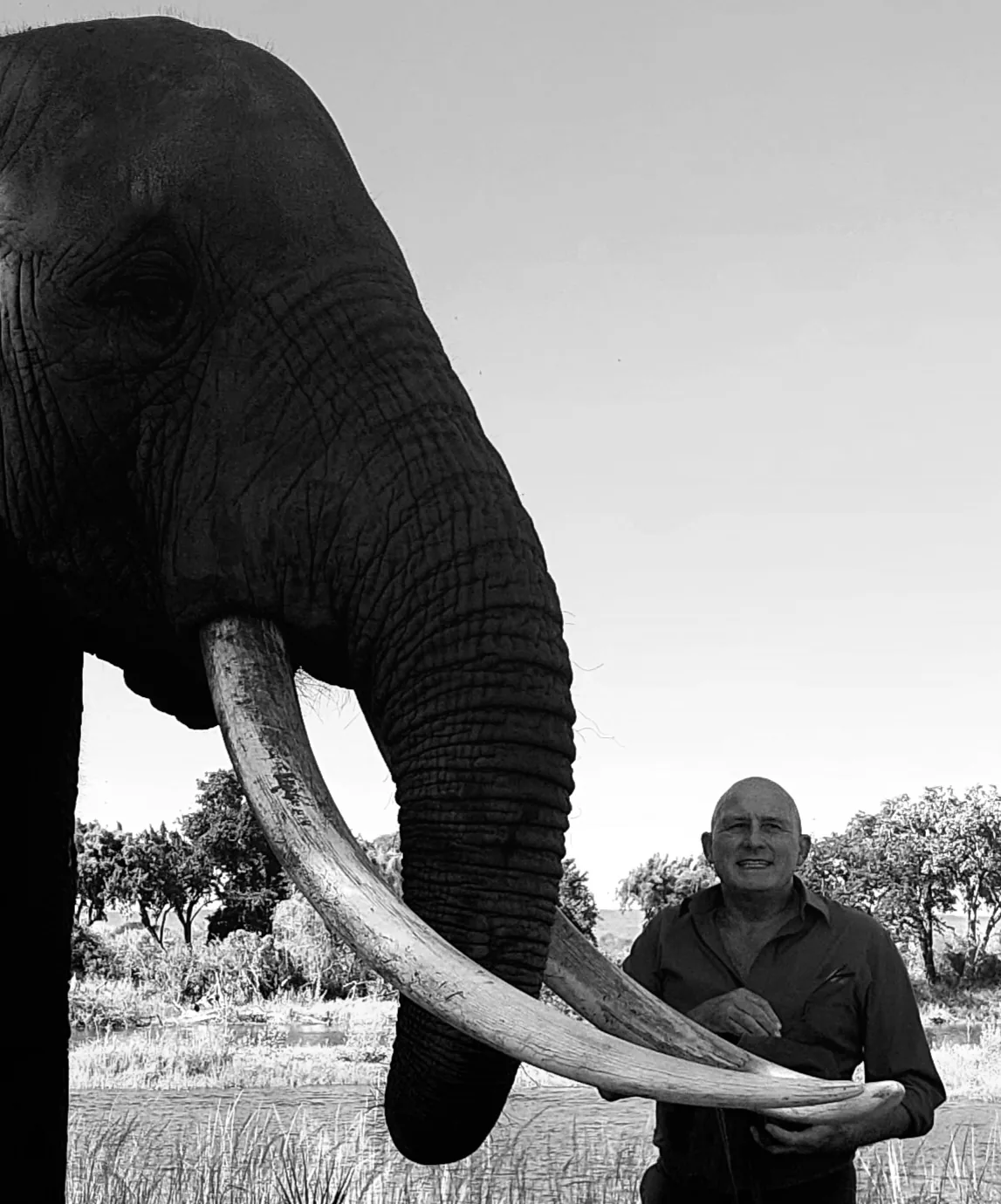 Patrick face à un éléphant aux longues défenses, photographie en noir et blanc