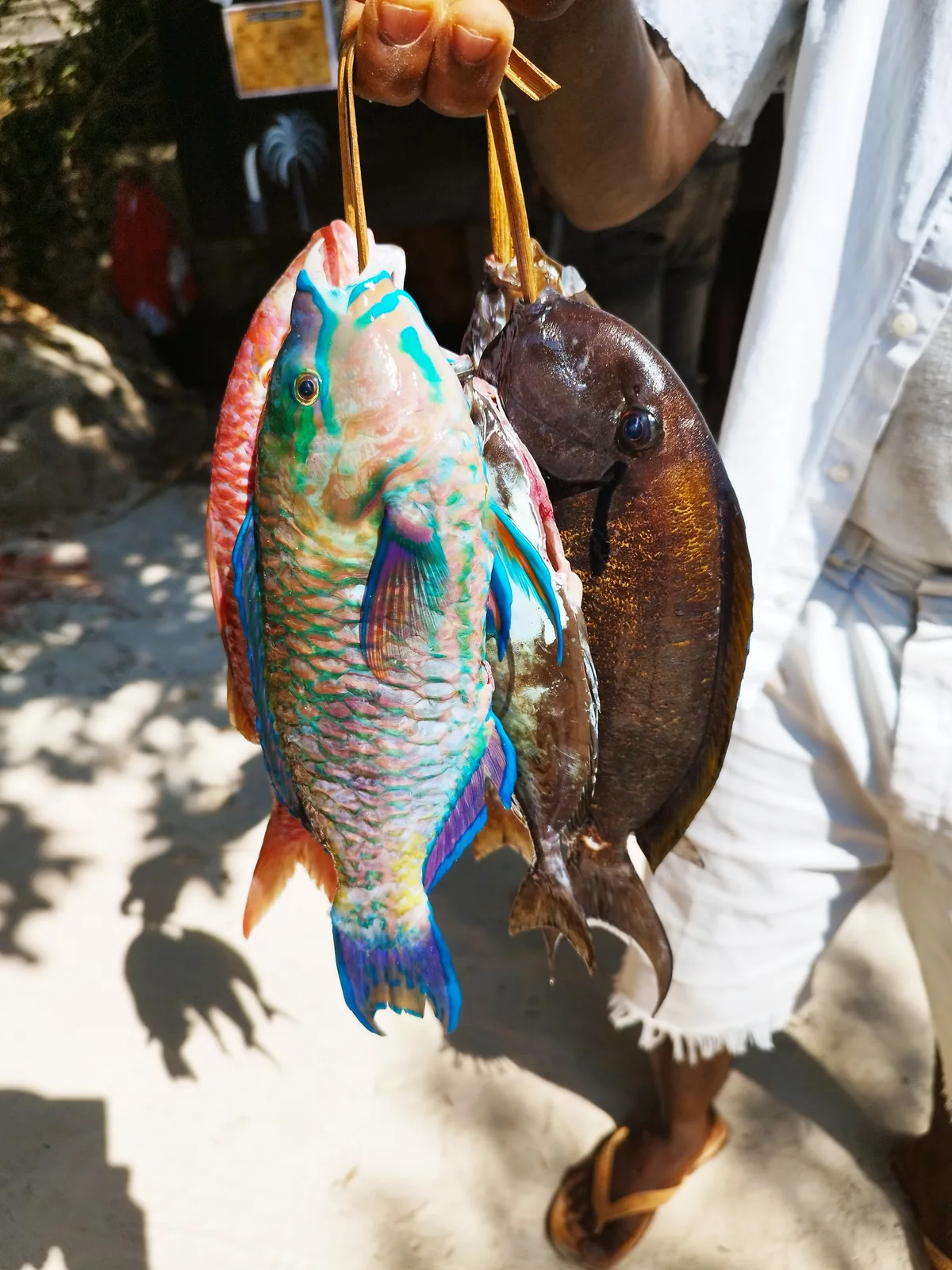 Pêche locale sur plage atlantique — Côte d'Ivoire