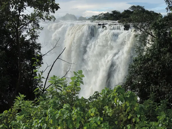 Chutes Victoria encadrées par une végétation tropicale